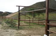 Corrals & Stables