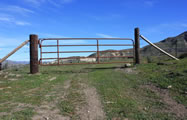 Fences and Gates